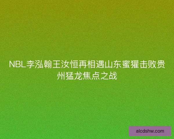 NBL李泓翰王汝恒再相遇山东蜜獾击败贵州猛龙焦点之战
